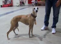 /album/fotos-jeannie/juiz-de-fora-mg-jpg1/